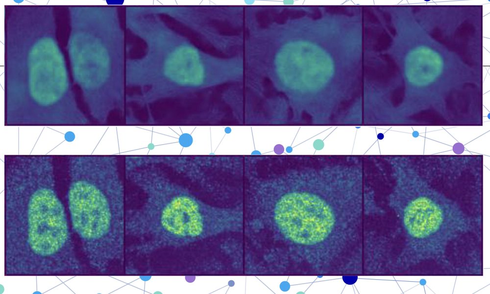 Πώς η Τεχνητή Νοημοσύνη Επαναστατεί στη Μελέτη των Πρωτεϊνών