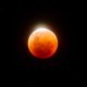 Η NASA αποκαλύπτει εντυπωσιακές εικόνες της «Flower Moon»