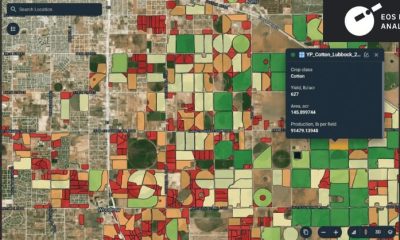 Πώς η AI και οι δορυφορικές εικόνες μεταμορφώνουν τις προβλέψεις απόδοσης βαμβακιού