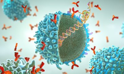 Συνεργασία Sonrai και Plectonic για την προώθηση ανοσοθεραπειών κατά του καρκίνου