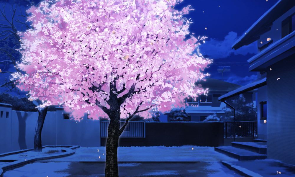 Το μαγευτικό Dreaming in Cherry Blossoms κυκλοφορεί τον Ιούνιο