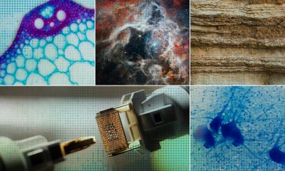 Επιτάχυνση της επιστημονικής ανακάλυψης με AI