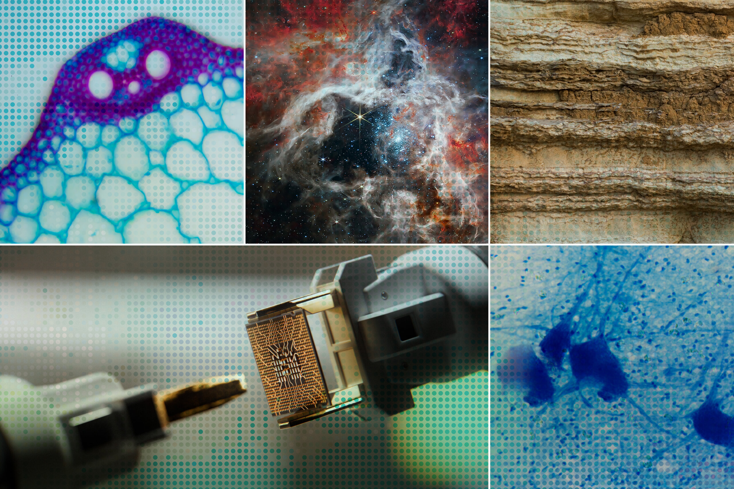 Επιτάχυνση της επιστημονικής ανακάλυψης με AI