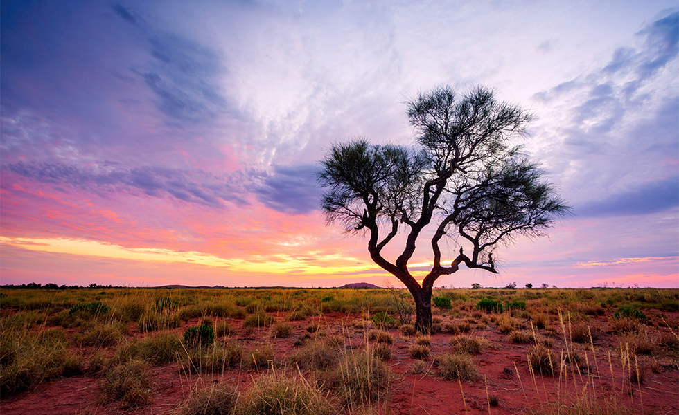 Η Νέα Χρυσή Εποχή της Περιοχής Pilbara στην Αυστραλία