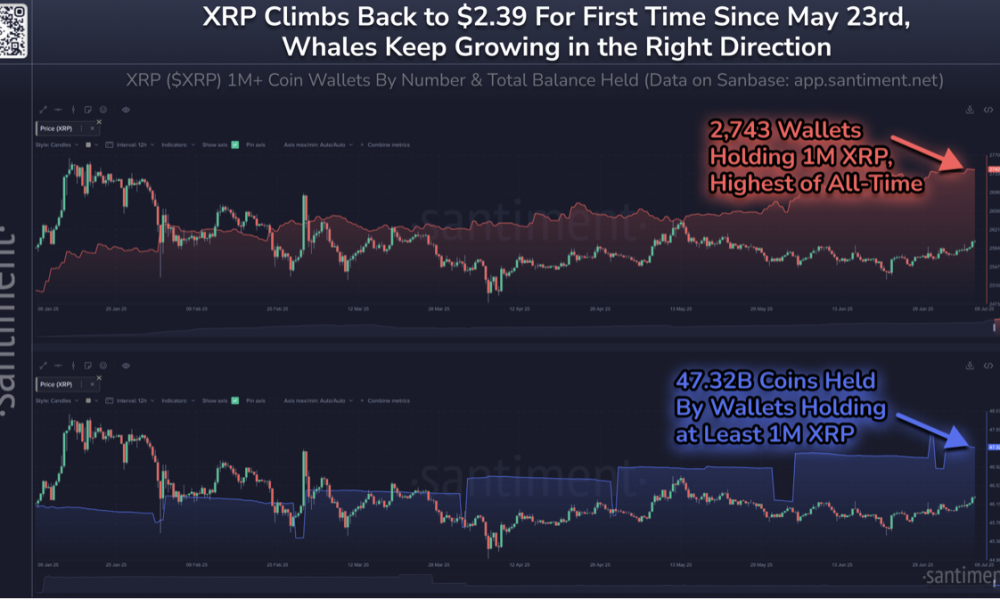 XRP: Νέο ρεκόρ για τους μεγάλους κατόχους και άνοδος τιμής