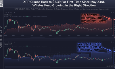 XRP: Νέο ρεκόρ για τους μεγάλους κατόχους και άνοδος τιμής