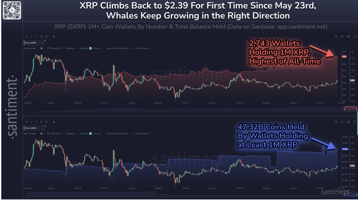 XRP: Νέο ρεκόρ για τους μεγάλους κατόχους και άνοδος τιμής