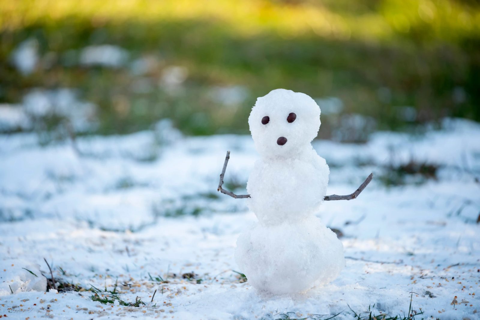 Η σοβαρή διακοπή της Snowflake και οι επιπτώσεις της